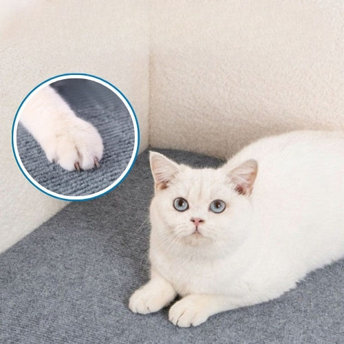 AntiGriffure™ | Protection canapé chat contre les griffures félines