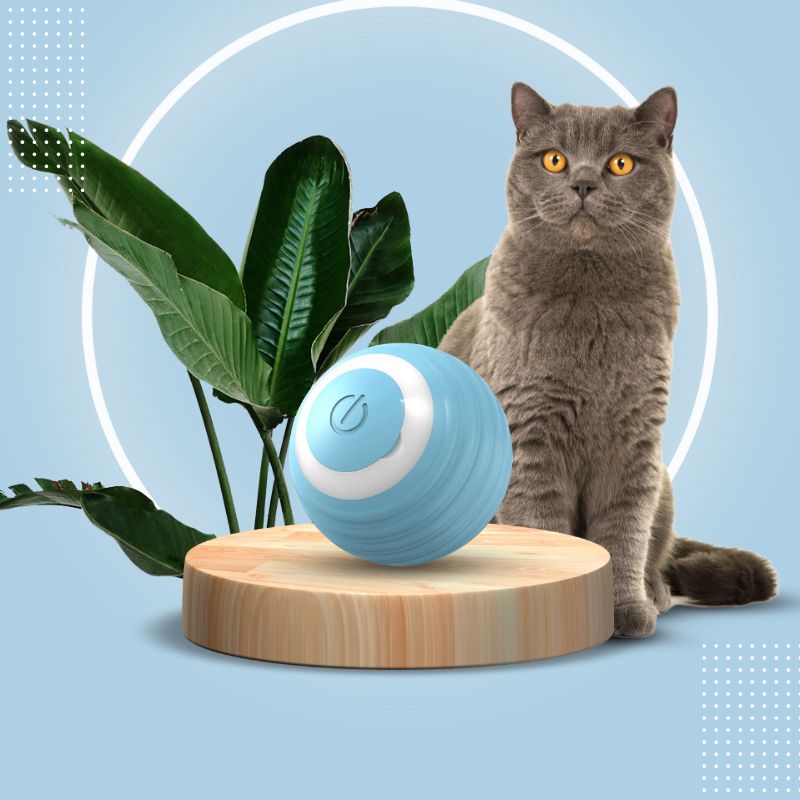 TurboChat™ – Le Jouet Motorisé qui Éveille l’Instinct de Votre Chat