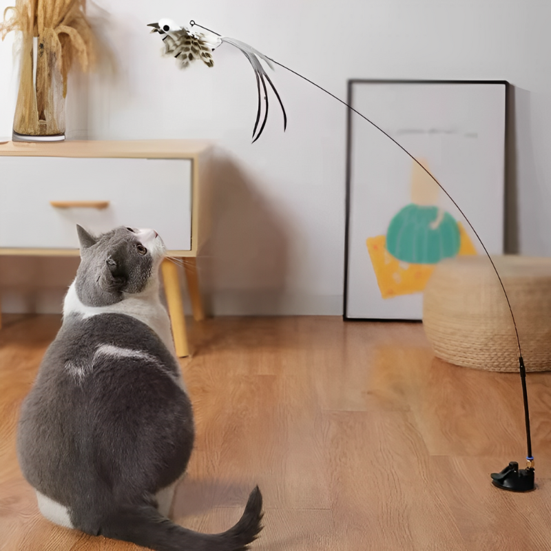 FunBird™ - Attrape-Oiseau avec Ventouse