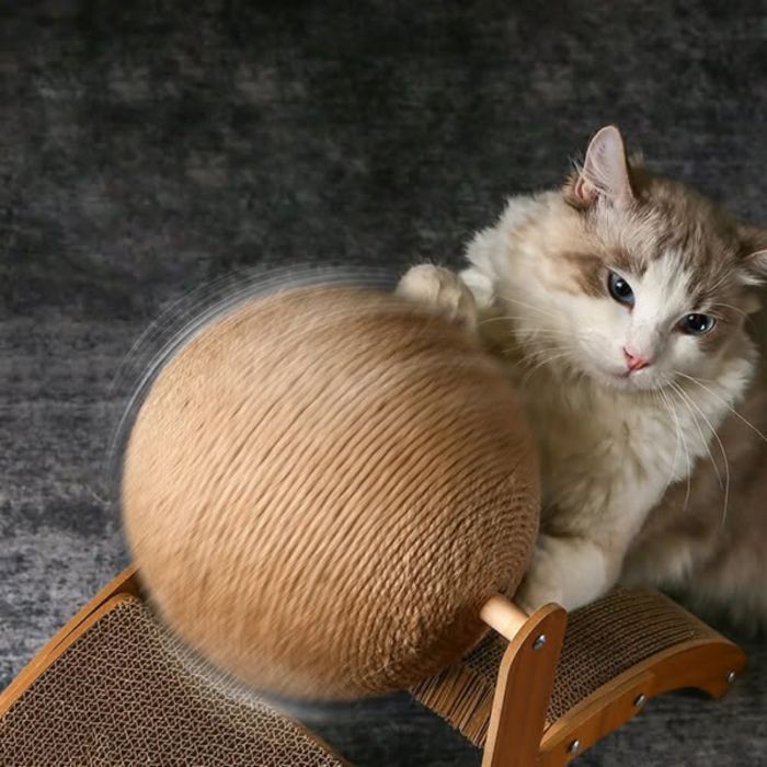 GriffOrbe griffoir chat orbe rotation