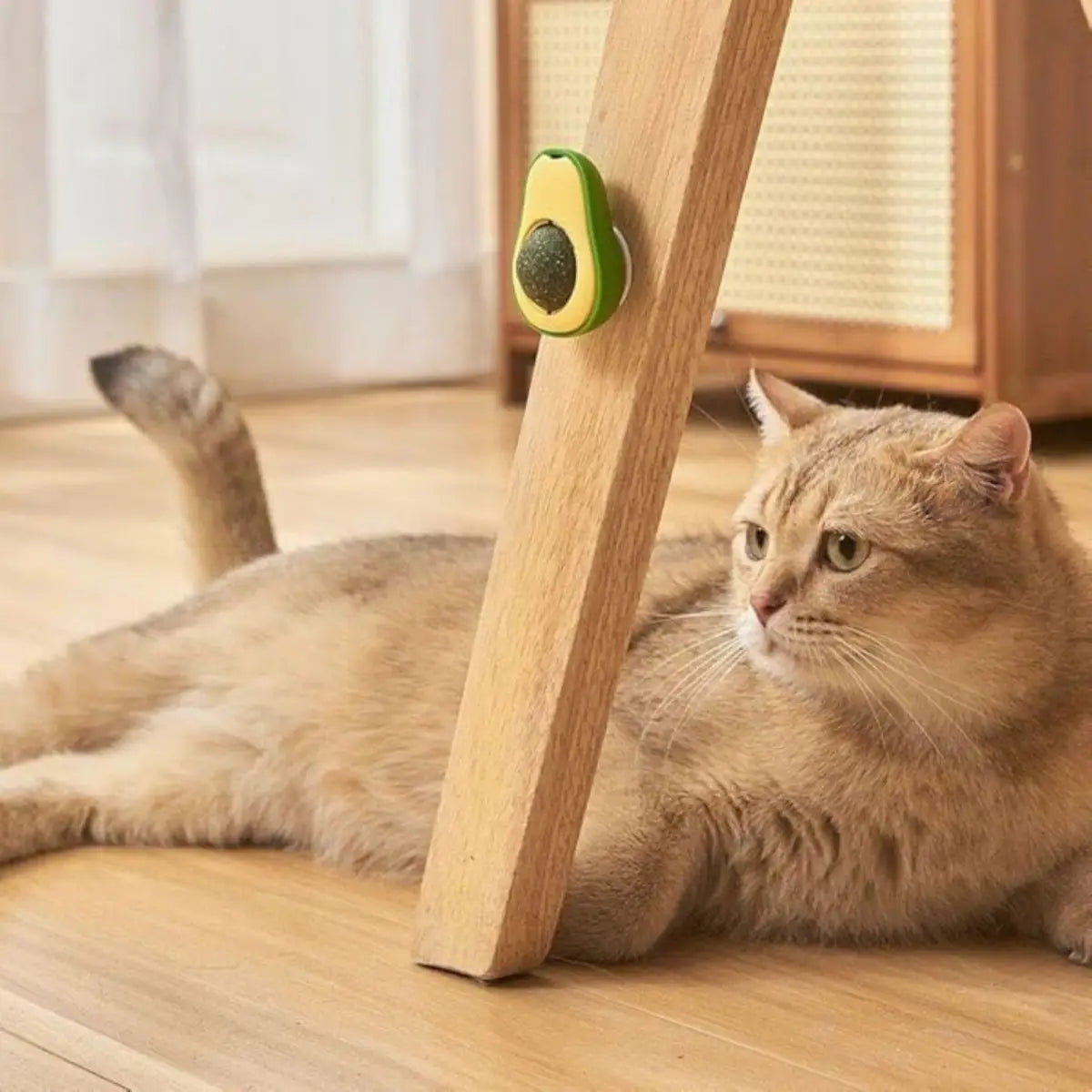Jouet Avocatch™ en forme d'avocat fixé sur un meuble, avec un chat allongé à côté.