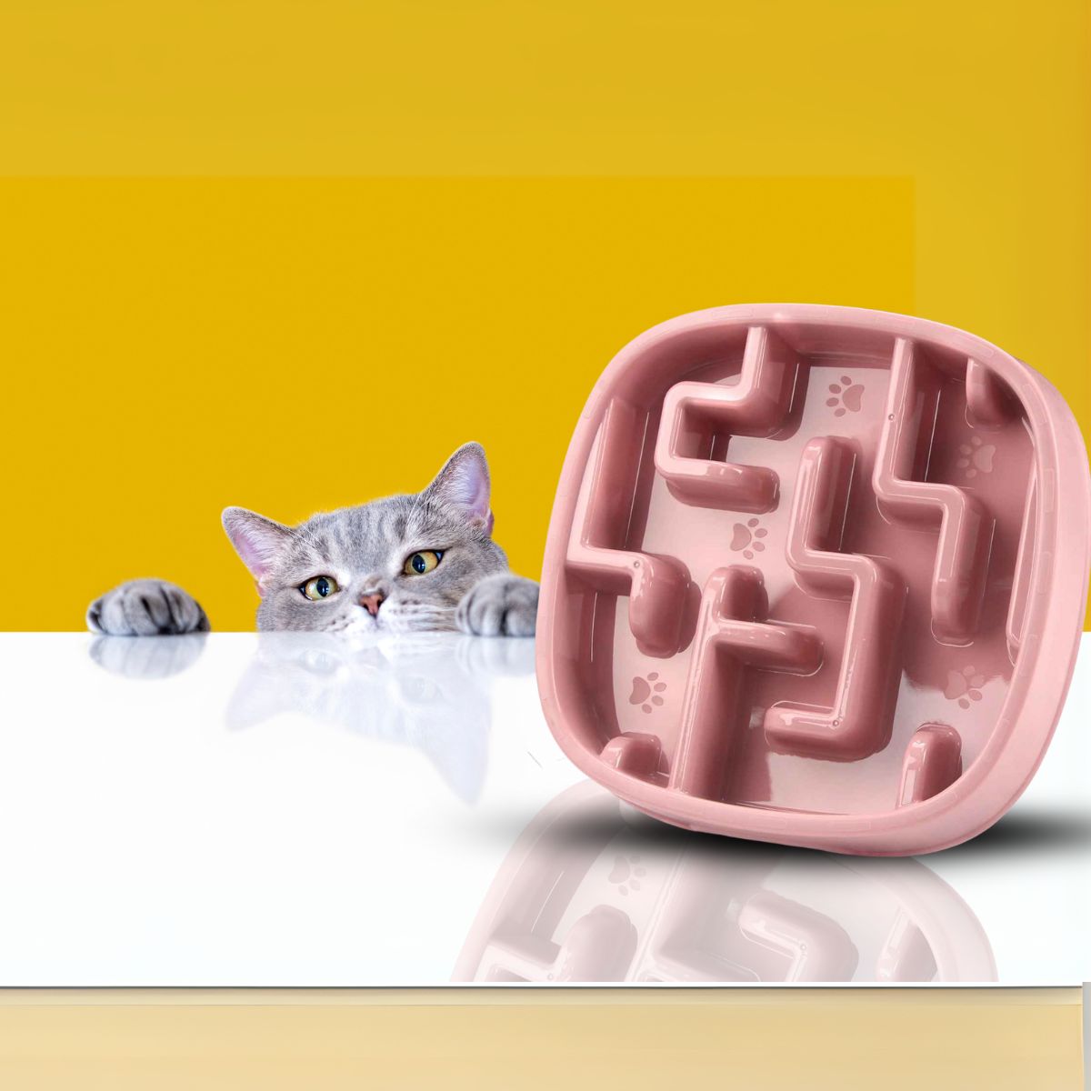 Chat gris regardant la gamelle anti-glouton rose CalmiCroq™.