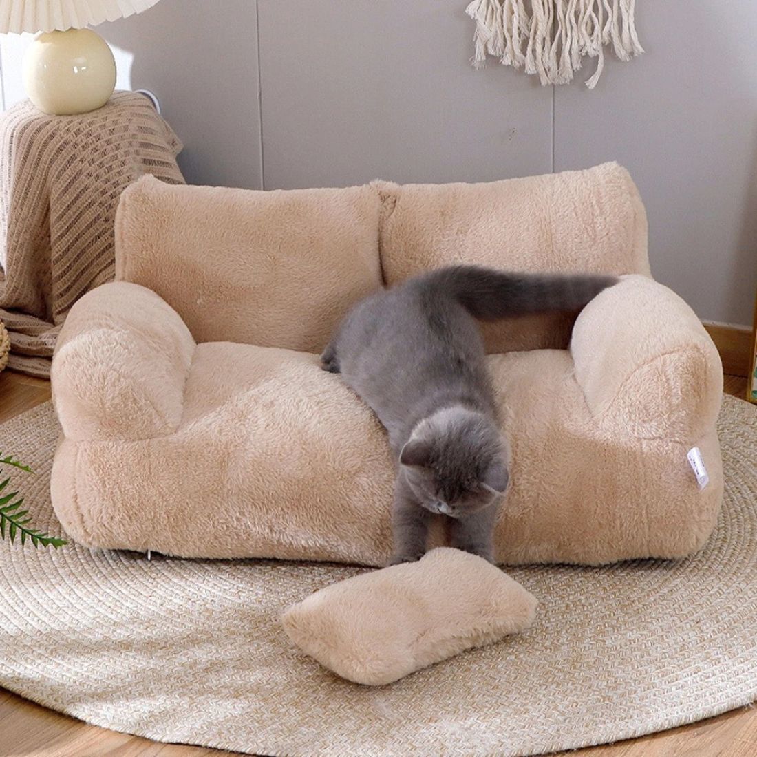 Chat en train de descendre d’un canapé pour chat avec coussin détachable