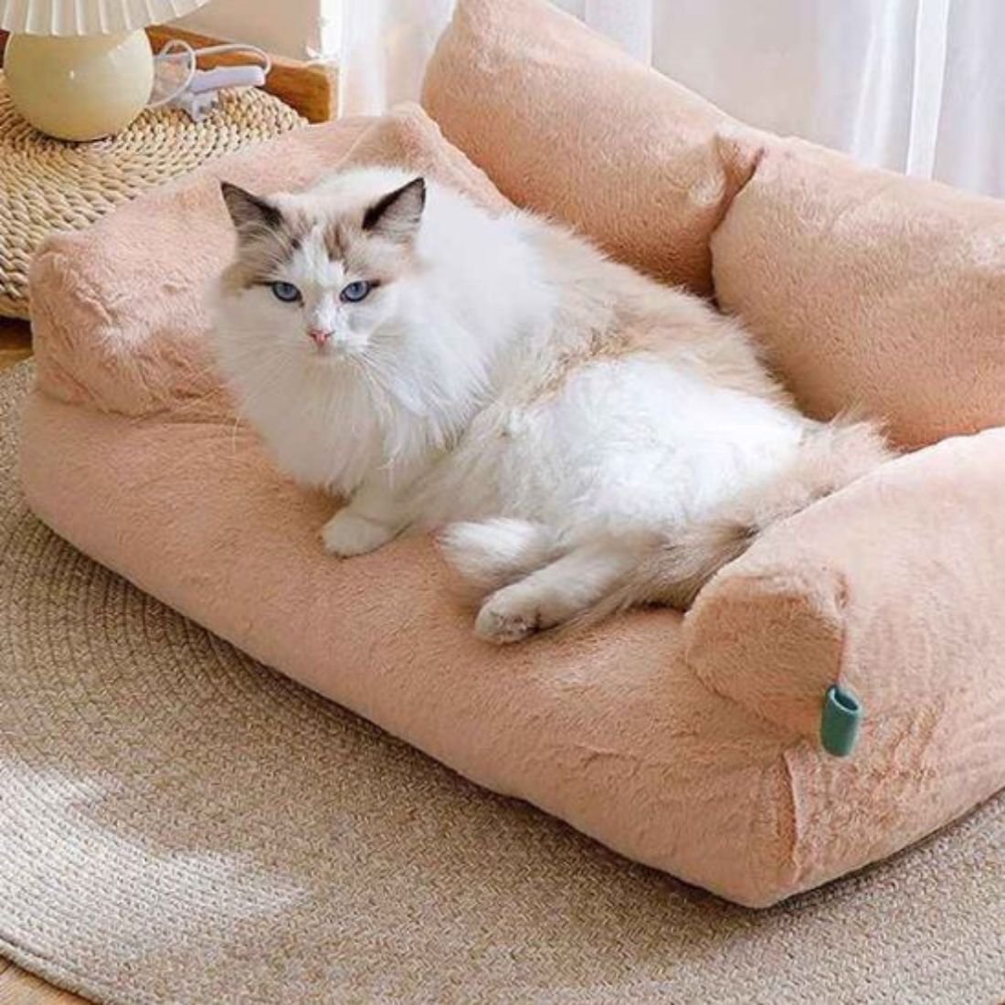 Chat blanc aux yeux bleus détendu dans un canapé pour chat couleur pêche
