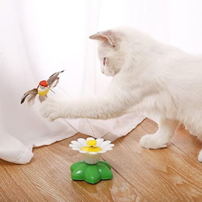 Expression de bonheur fĂ©lin grĂące au jouet Papiluneâą â lâanti-frustration idĂ©al pour chats dâintĂ©rieur