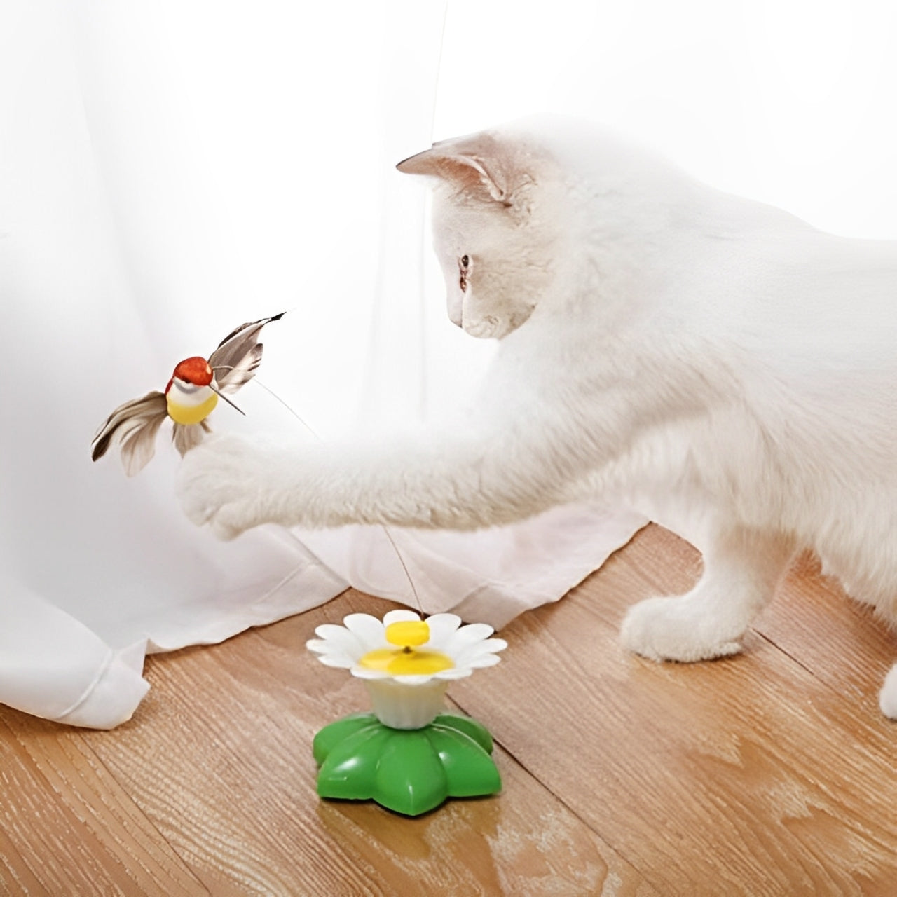 Chat curieux hypnotisĂ© par le mouvement du papillon â jouet chat Ă©lectrique qui Ă©veille les sens