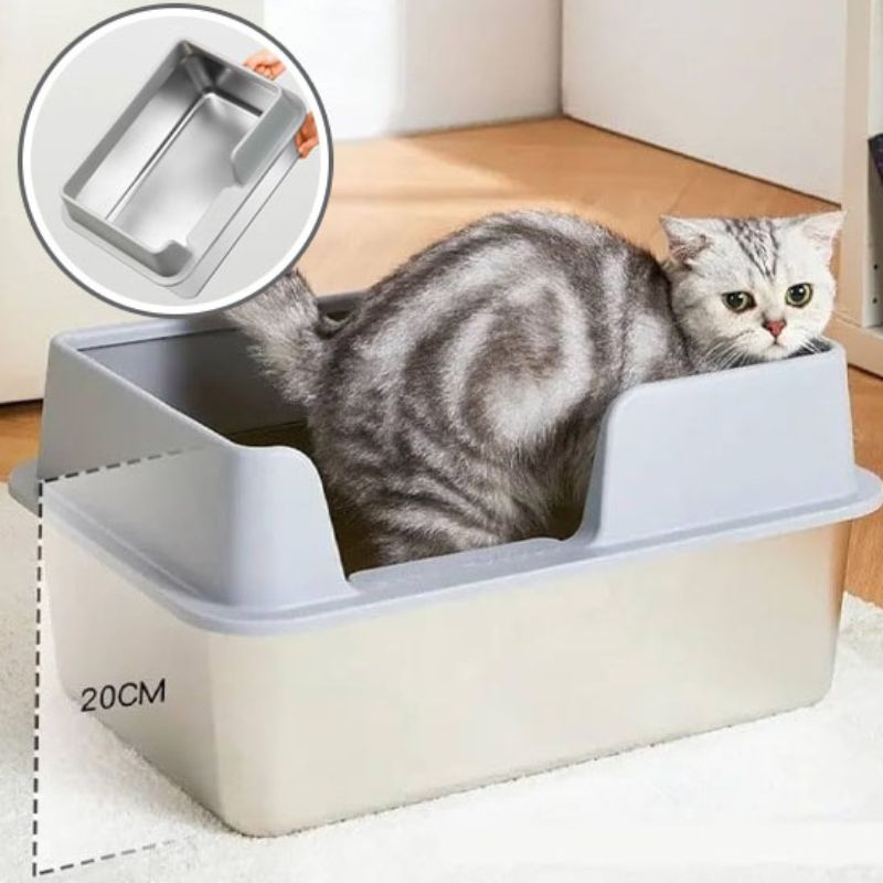 Chat dans bac litière acier inoxydable avec parois hautes de 20 cm