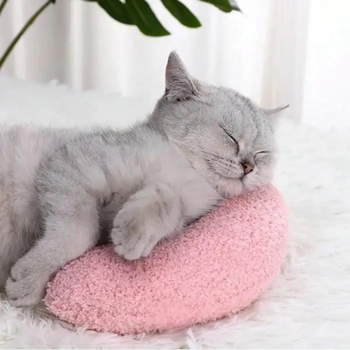 coussin pour chat rose offrant confort et douceur pour un sommeil paisible