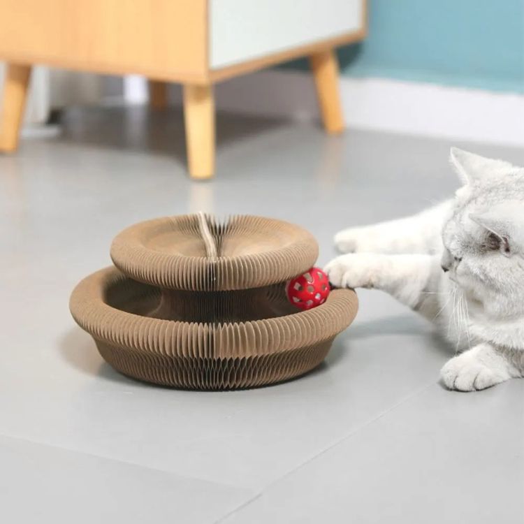 curlinou jouet chat