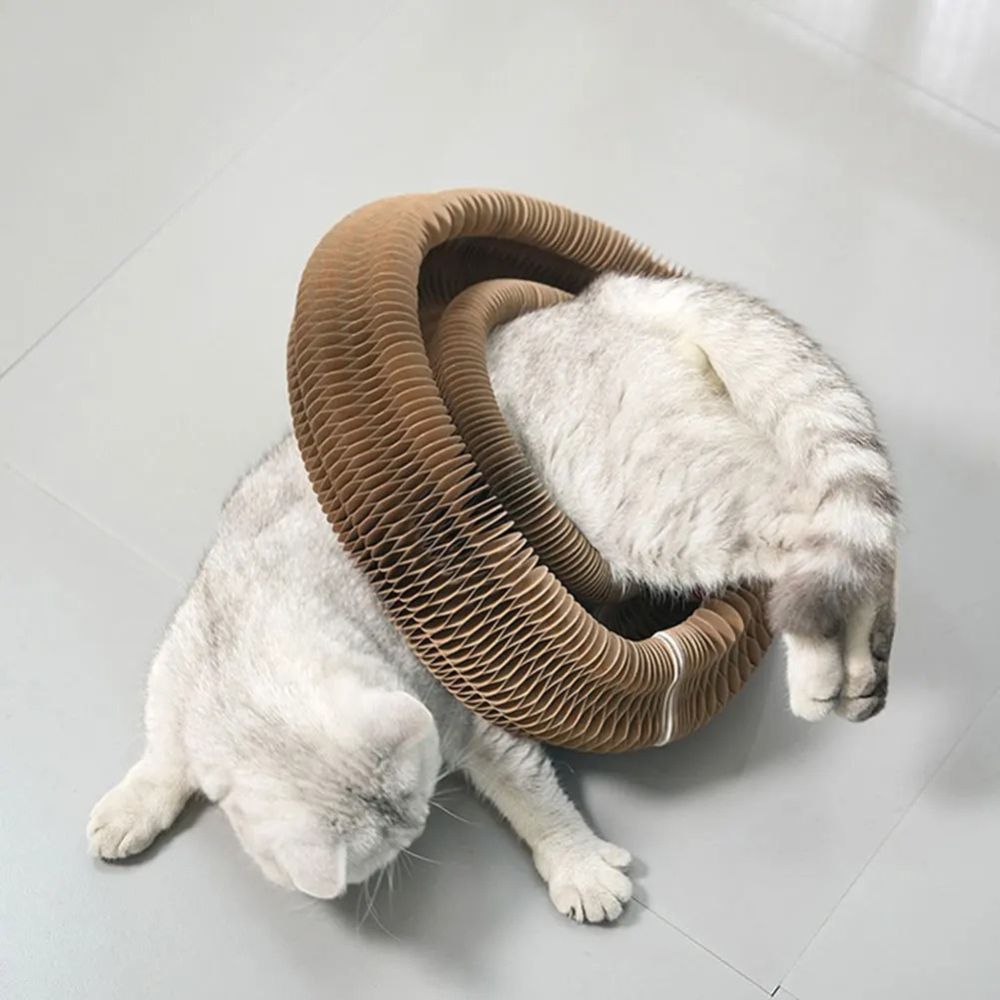 curlinou jouet modulable chat