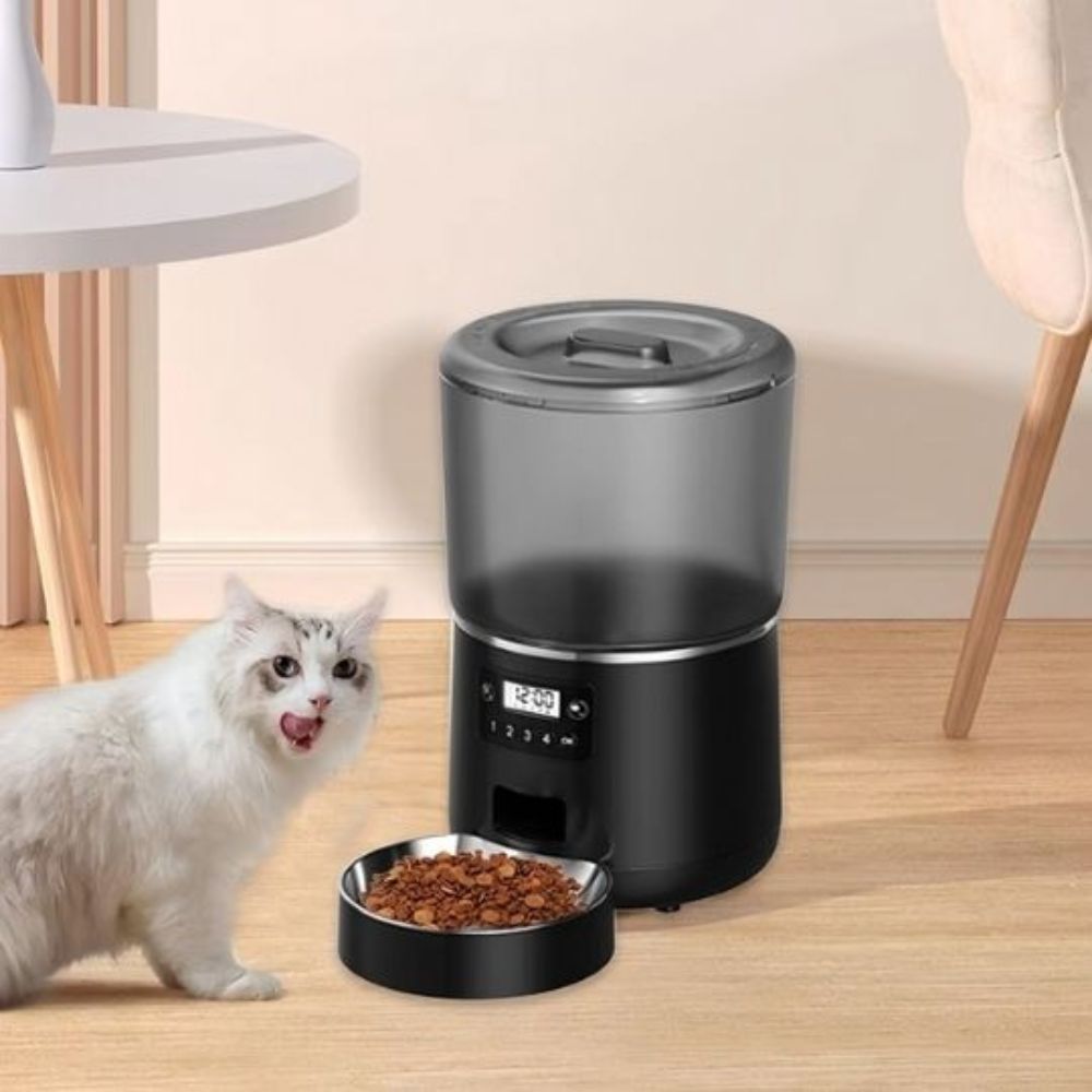 Chat observant une mangeoire automatique moderne pour chat avec distribution programmée.