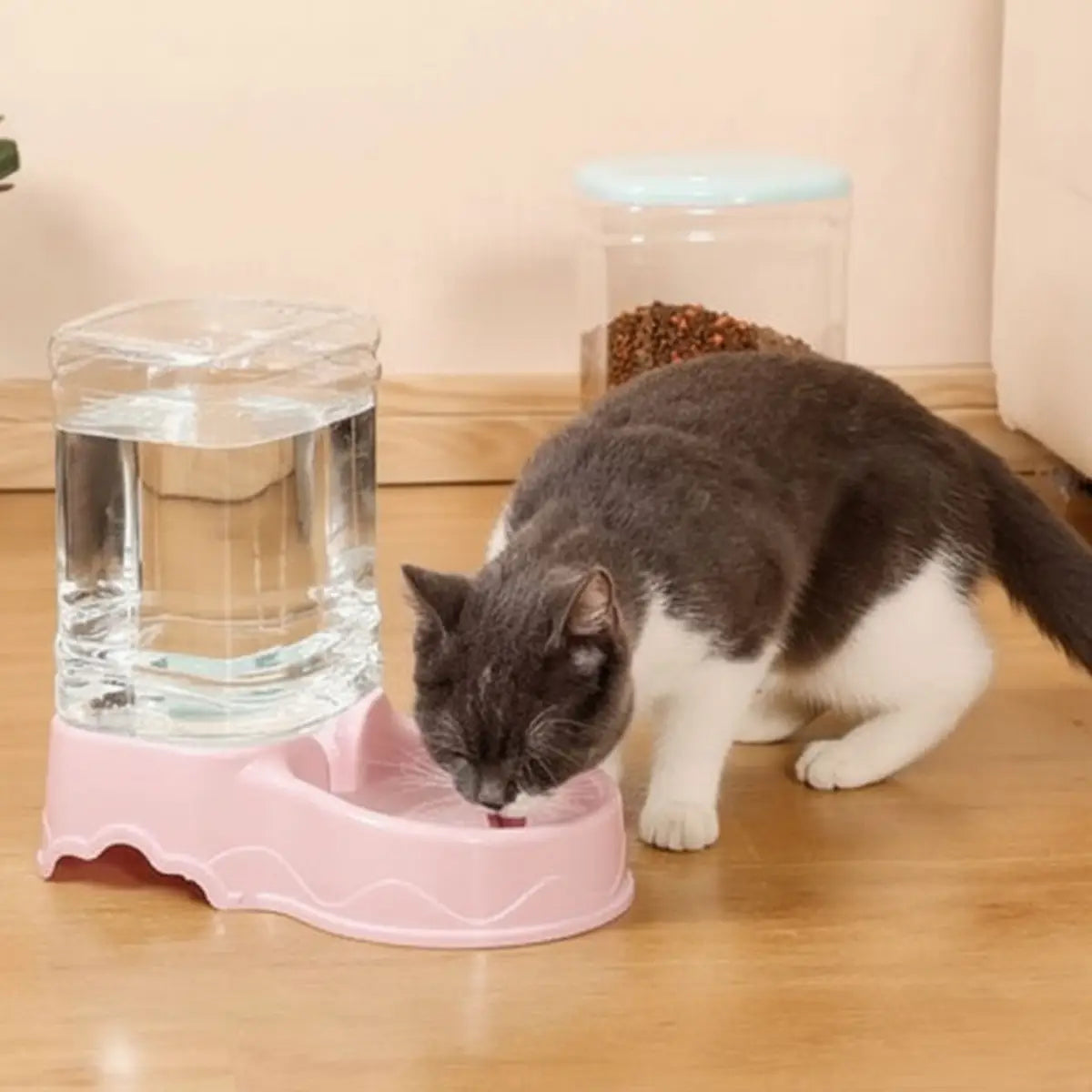 Distributeur de croquettes pour chat CasaDuo avec réservoir d'eau et design pratique.