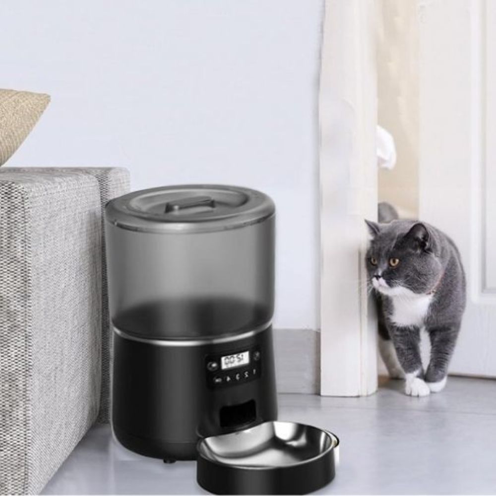 Distributeur croquettes chat programmable affichant lâheure avec distribution automatique dans la gamelle.