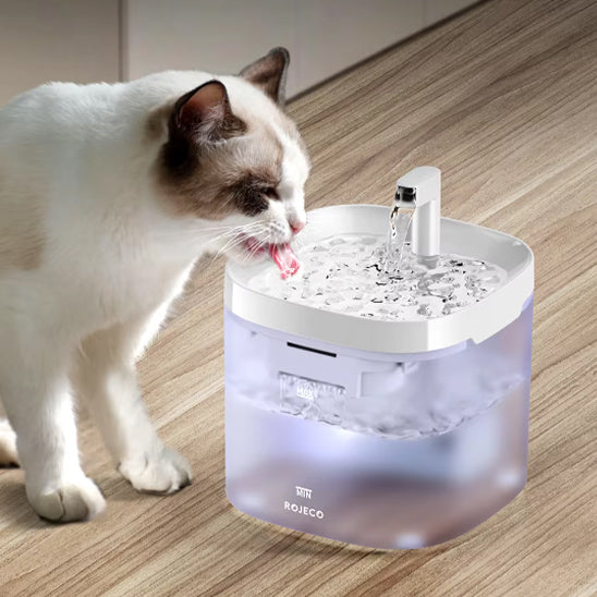 fontaine à eau pour chat AquaLumi 2 L avec chat qui boit, jet d’eau filtré