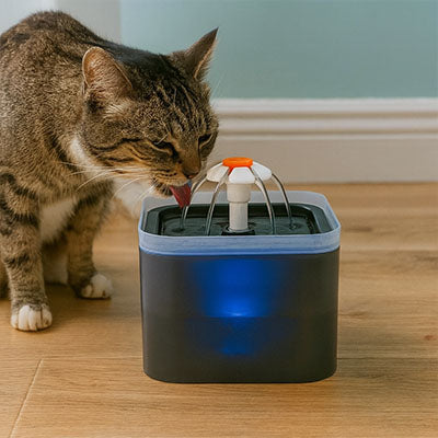 fontaine à eau pour chat DaisyFlow™ utilisée par un chat tigré, hydratation encouragée