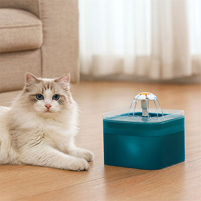 fontaine à eau pour chat design DaisyFlow™ compacte et silencieuse pour le salon