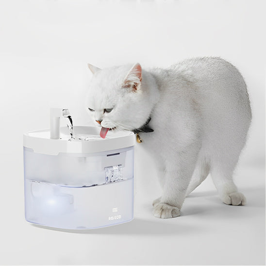 fontaine à eau pour chat design blanc ultra silencieuse, réservoir transparent