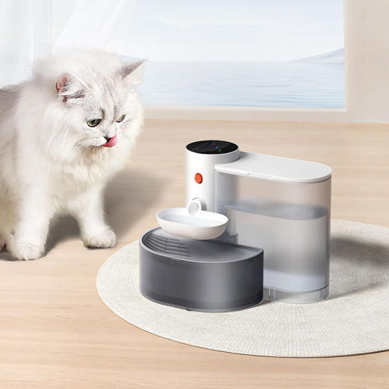 fontaine à eau chat avec filtration et cascade qui stimule l’hydratation