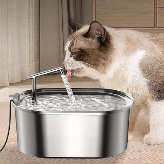 Fontaine à eau chat en inox 304, eau courante rassurante même en votre absence