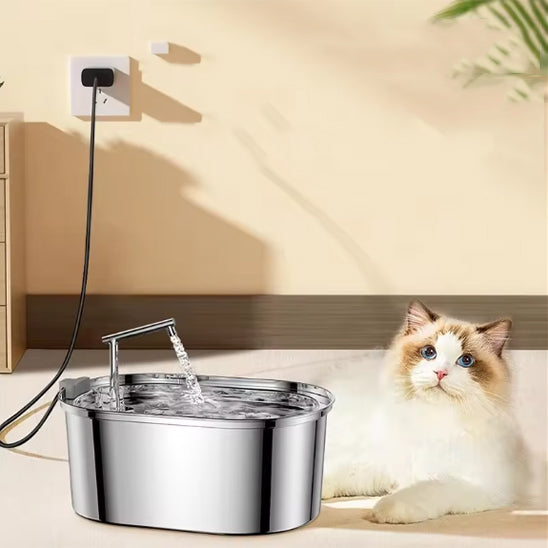 Fontaine à eau pour chats en inox avec cascade, idéale pour foyers multi-chats