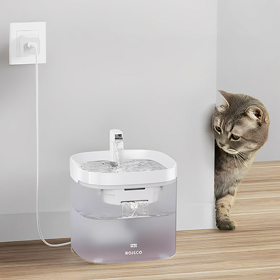 fontaine à eau pour chat silencieuse USB jet d’eau continu, anti-éclaboussures