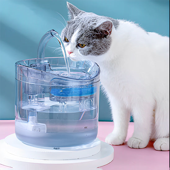 fontaine Ă eau pour chat avec cuve transparente sans BPA et repĂšres de niveau