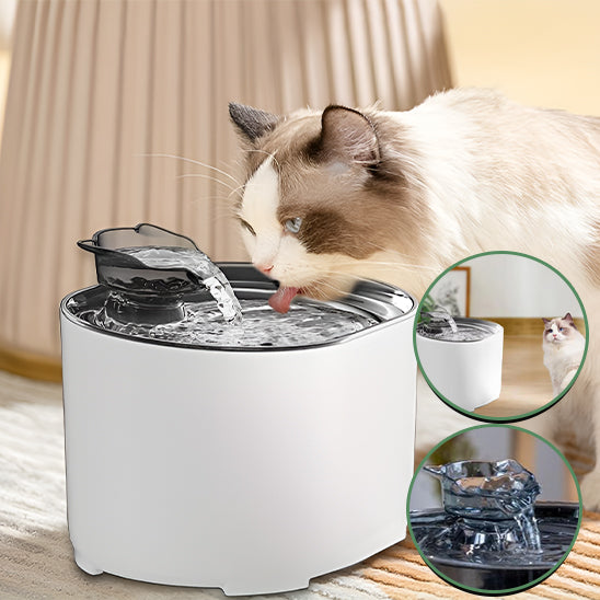 Fontaine eau chat blanche avec bec en forme de tête de chat, jet latéral, hydratation optimale
