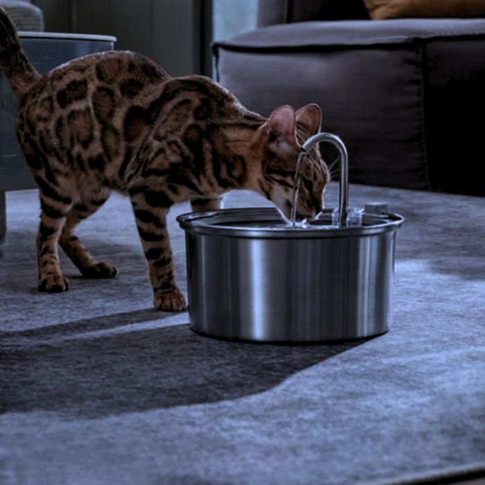 Chat bengal buvant de la fontaine AquaPure silencieuse de nuit dans un salon moderne