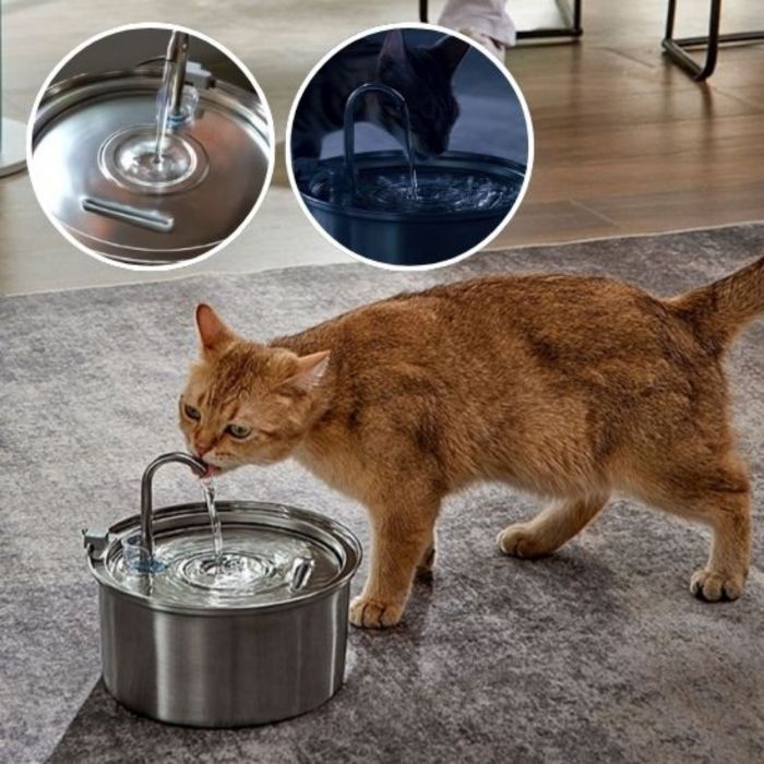 Chat roux utilisant la fontaine à eau en acier inoxydable AquaPure sur sol clair