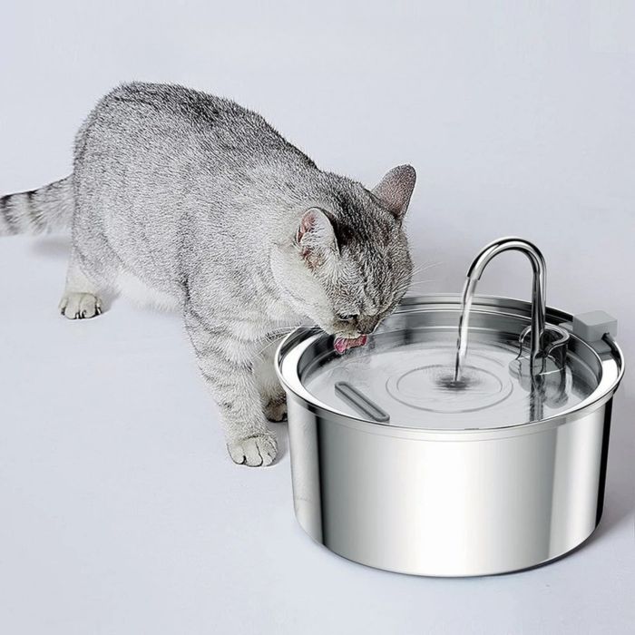 Chat couché à côté de la fontaine AquaPure illustrant hydratation et bien-être