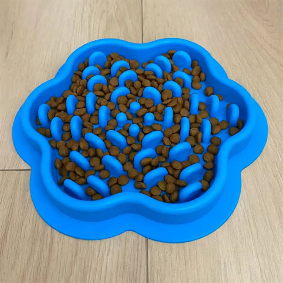 Gamelle anti glouton chat vue de dessus avec croquettes, obstacles qui ralentissent lâingestion