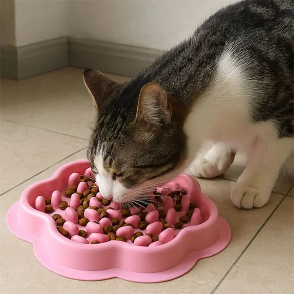 Gamelle chat anti glouton rose compatible croquettes et pùtée, nettoyage facile