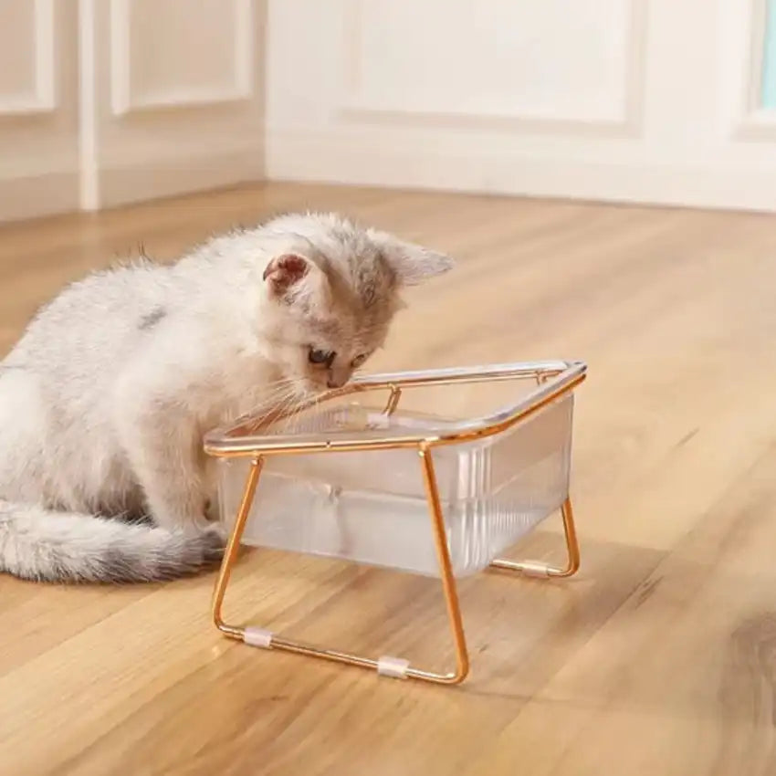 gamelle pour chat dorée design qui sublime l’intérieur