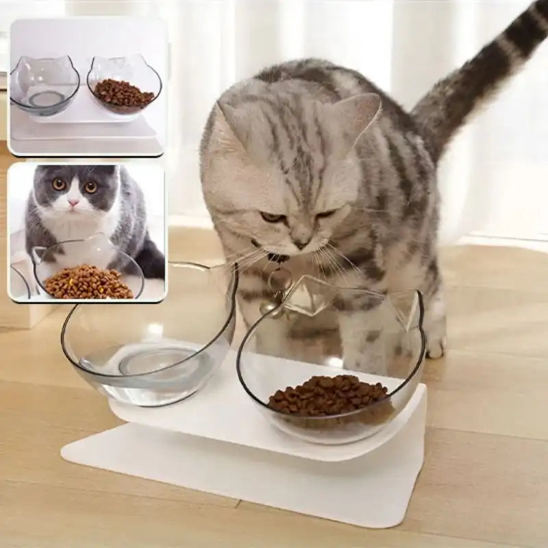 chat gris mange dans une gamelle pour chat surélevée à double bol incliné