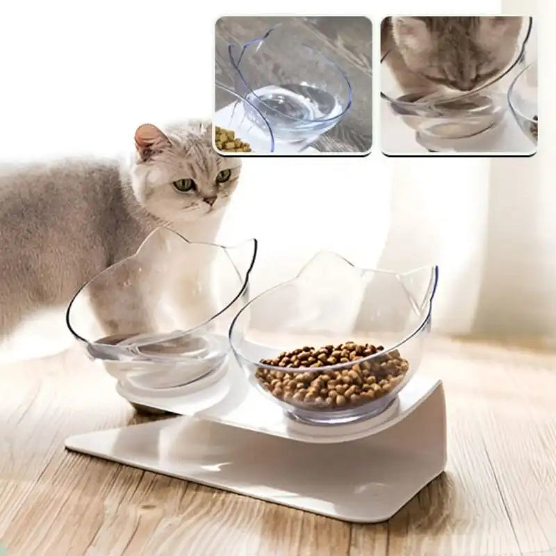 gamelle chat surélevée à double bol transparent, vues rapprochées et chat curieux