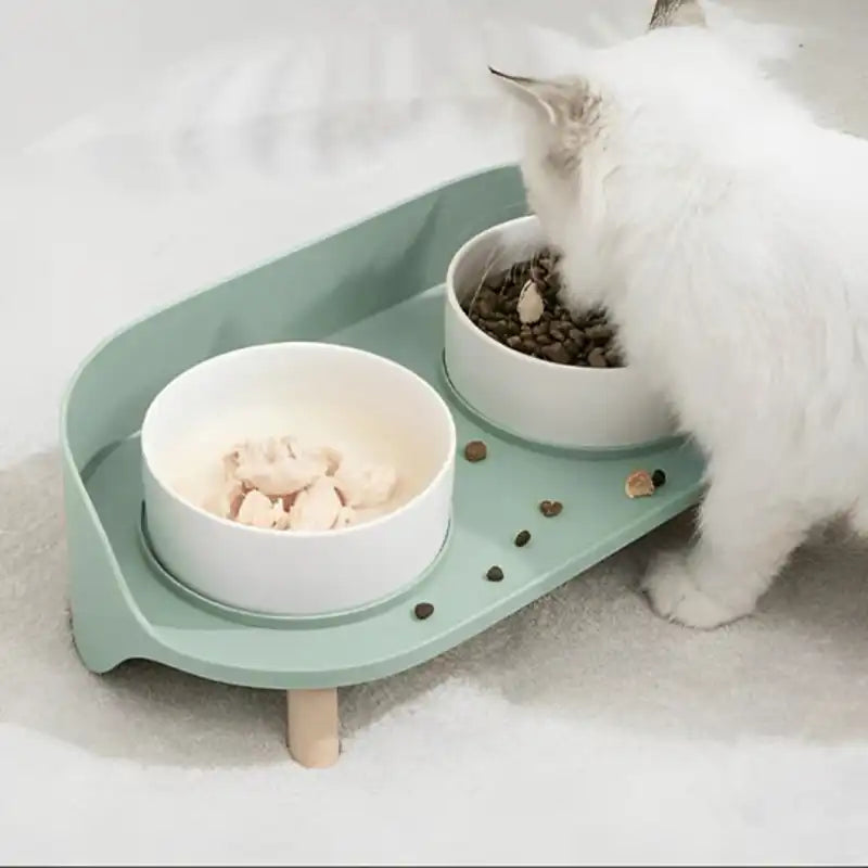 Gamelle chat surélevée double ErgoDuo vert menthe, gros plan sur bols séparés et plateau.