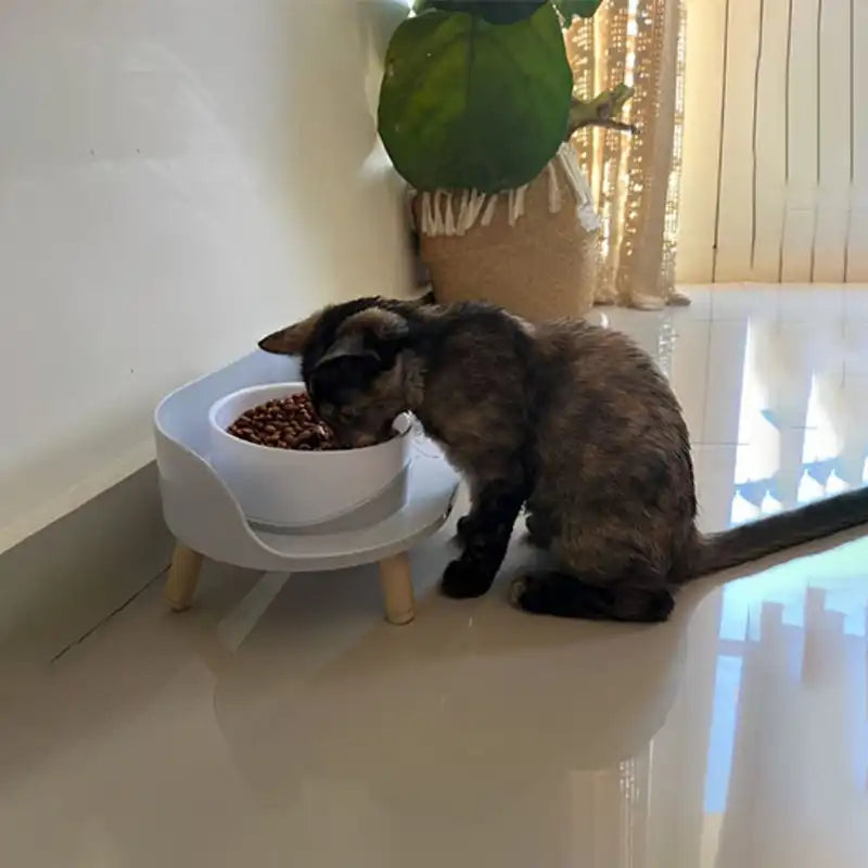 Gamelle chat surélevée ErgoDuo blanche, favorise une posture naturelle pendant le repas.