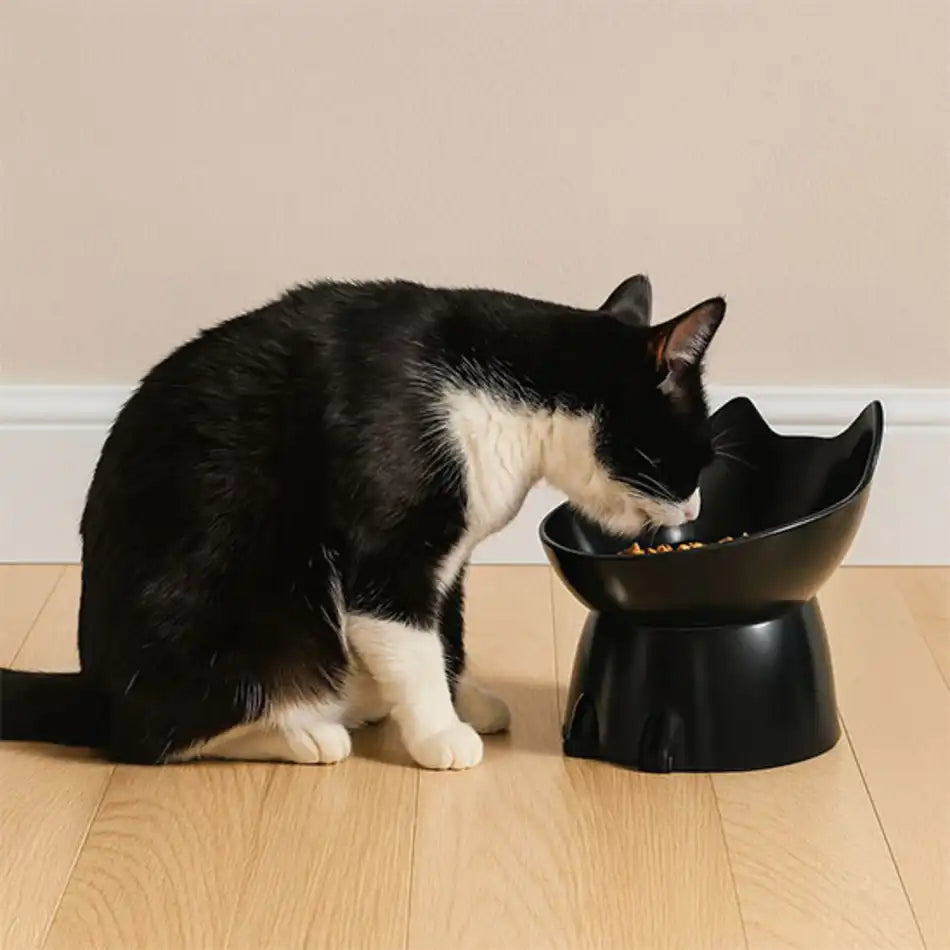 gamelle chat surélevée noire – chat mange croquettes sans tension cervicale