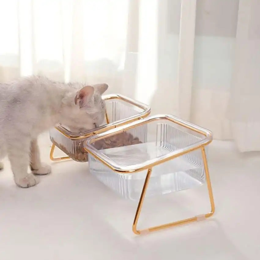 posture naturelle avec gamelle chat surélevée en verre