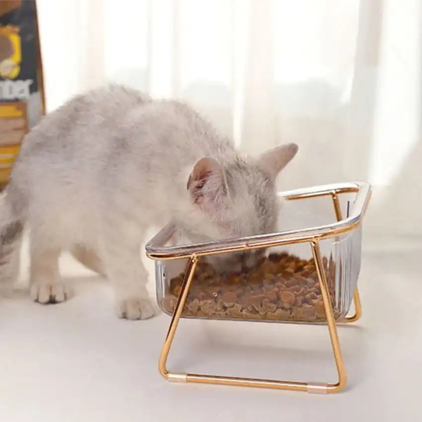 gamelle chat surélevée en verre doré – vue d’ensemble