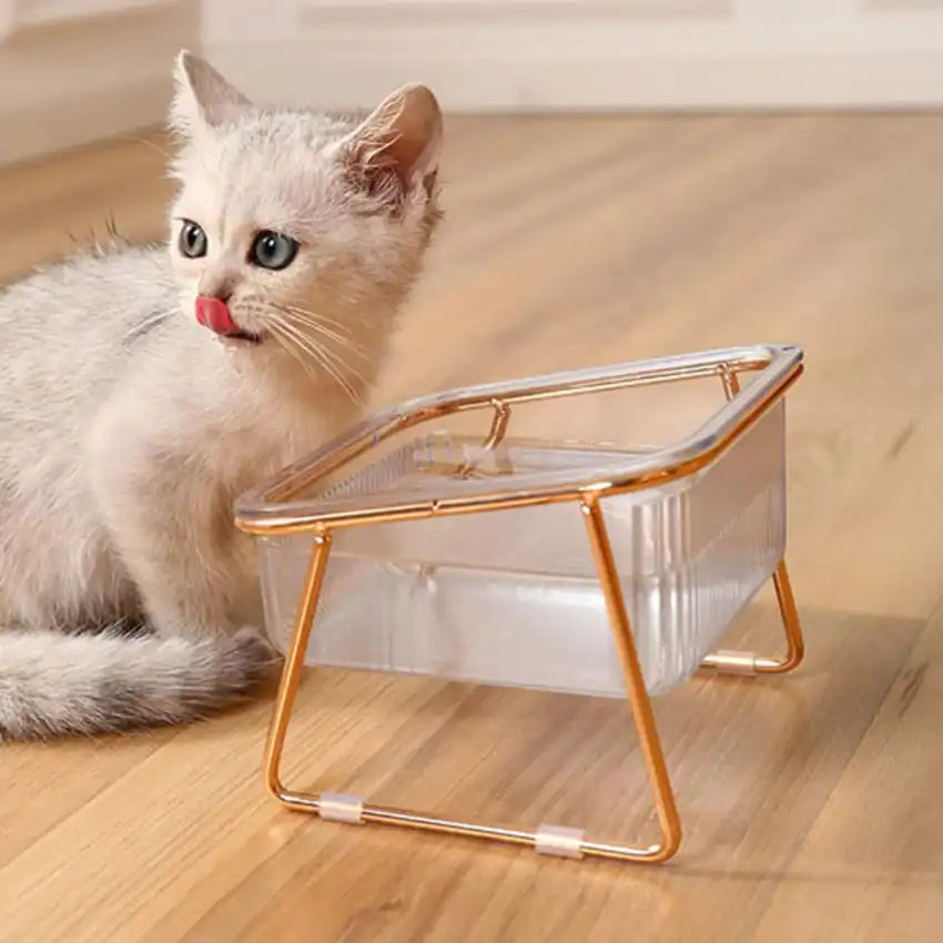 bol en verre hygiénique pour chat, compatible lave-vaisselle