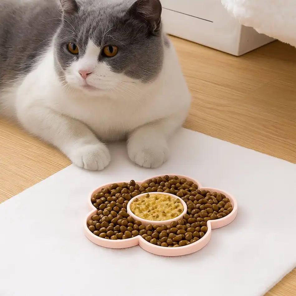 Gamelle pour chat – tapis de léchage rose, mix croquettes et pâtée, alimentation lente et propre