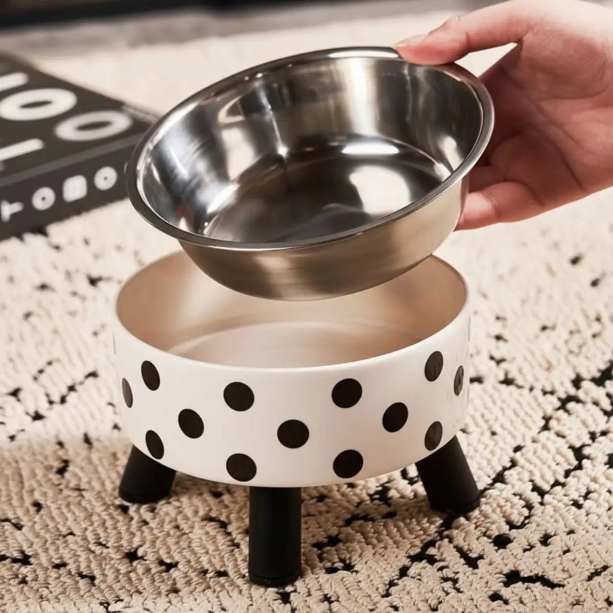 Gamelle Pour Chat | WhiskerZenâą