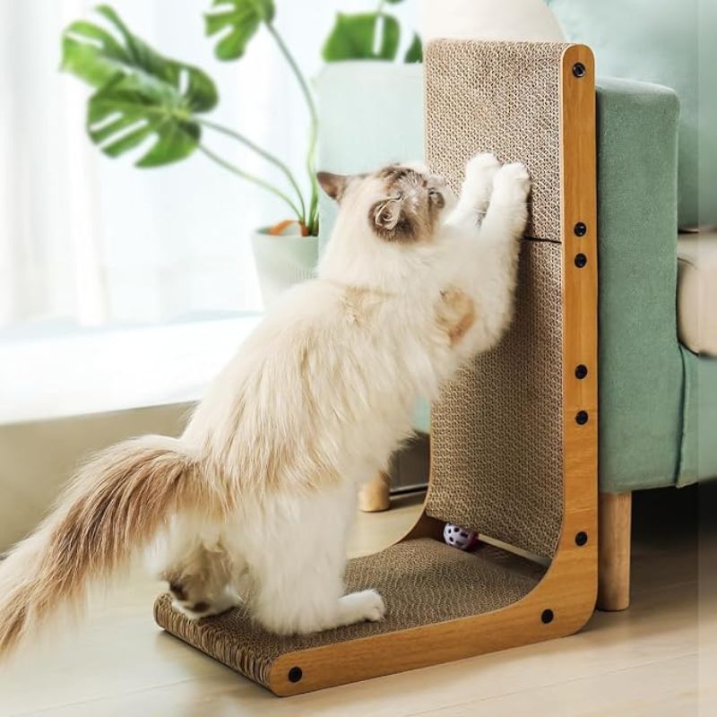 griffoir chat capane