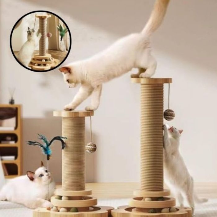 griffoir chat taille s l comparatif