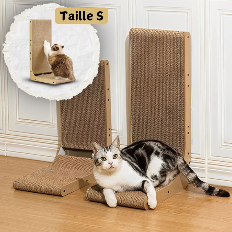 griffoir chat taille s