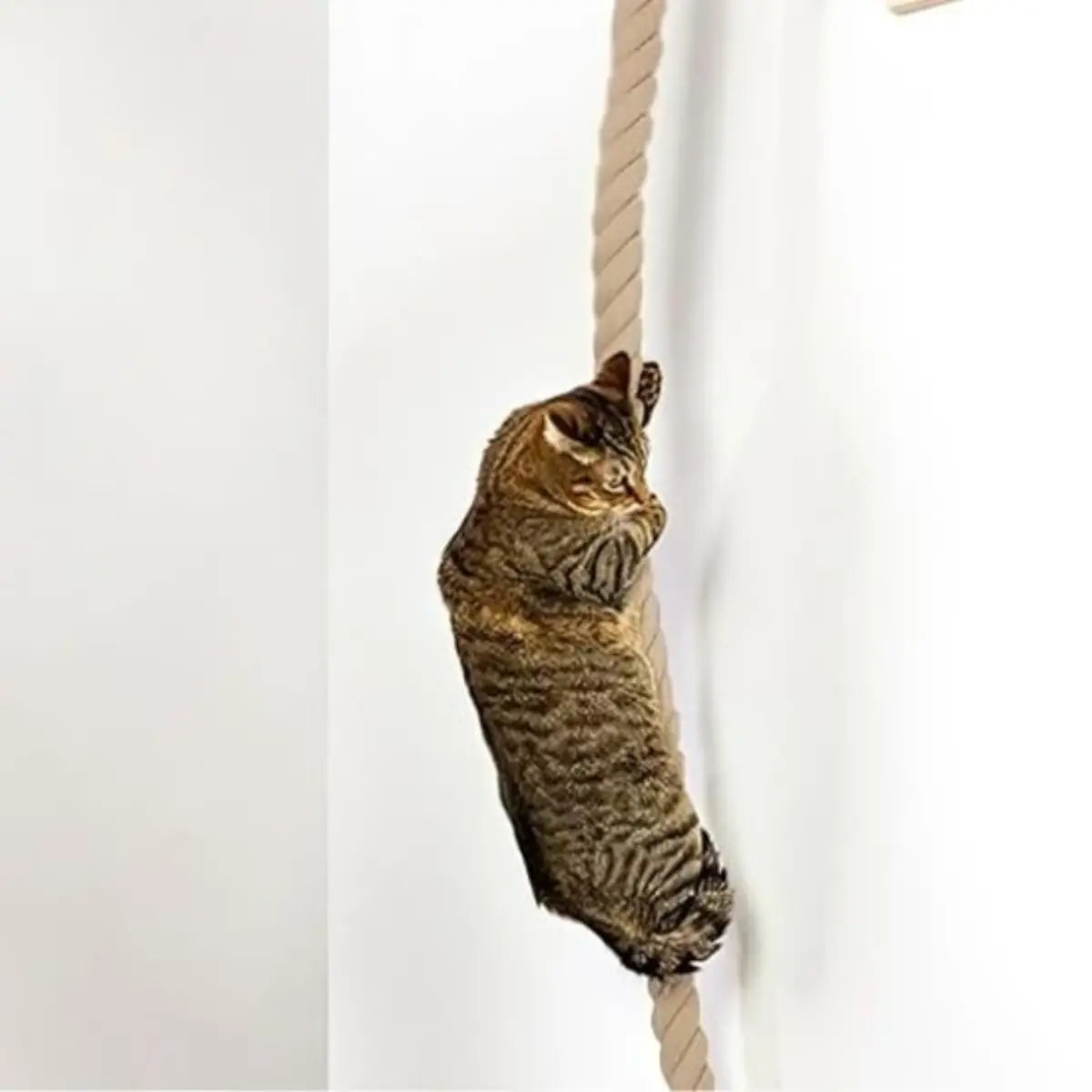 Griffoir vertical mural avec un chat grimpant sur une corde naturelle.