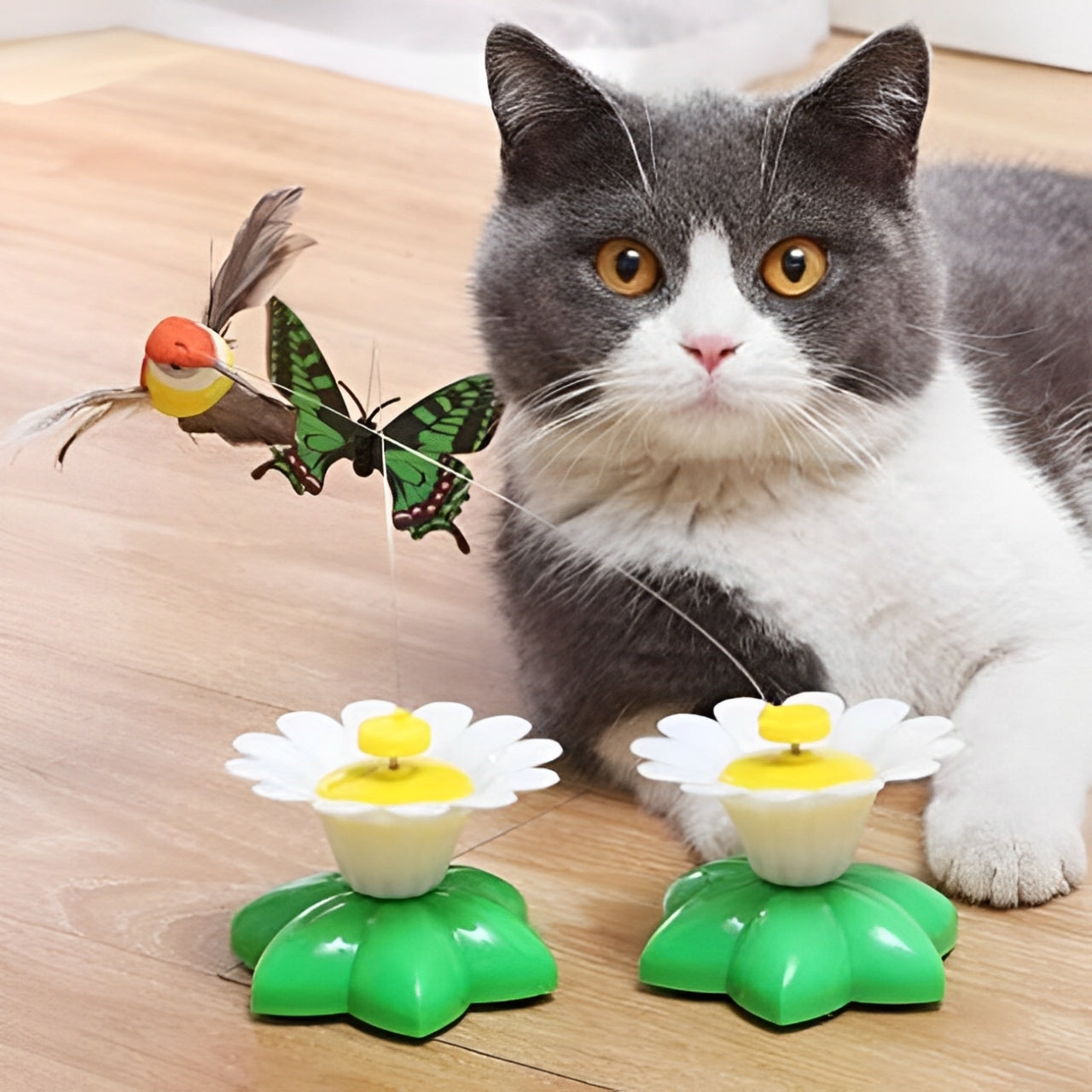 Chat joueur captivĂ© par le jouet papillon Papiluneâą, le meilleur jouet interactif pour chat contre lâennui