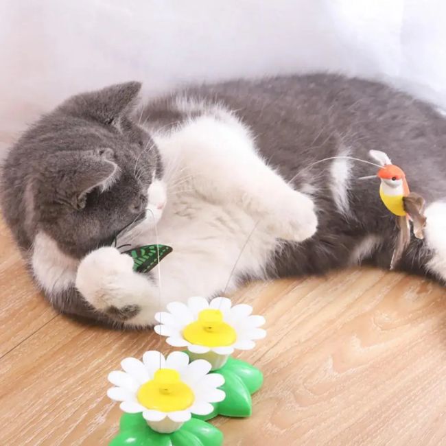 Chat joueur captivĂ© par le jouet papillon Papiluneâą, le meilleur jouet interactif pour chat contre lâennui