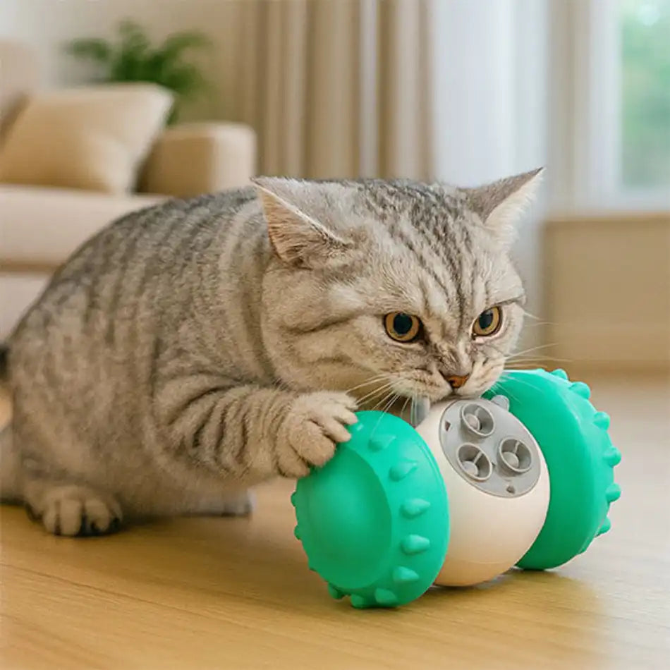 Jouet pour chat interactif â exercice quotidien et stimulation mentale avec rĂ©compenses